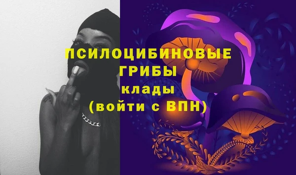 стаф Вязники