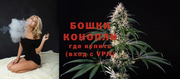 стаф Вязники