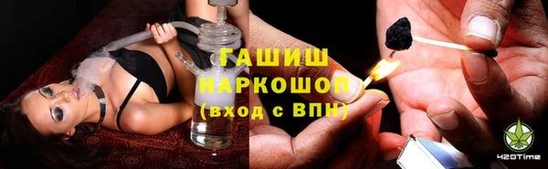 PSILOCYBIN Сатка