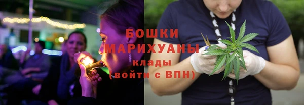 стаф Вязники