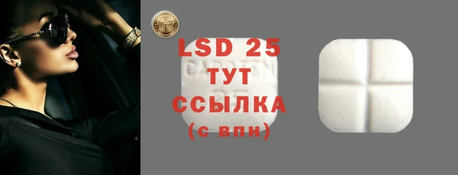 крисы Горняк