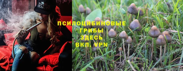 стаф Вязники