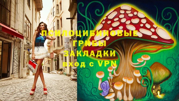 Альфа ПВП Вяземский