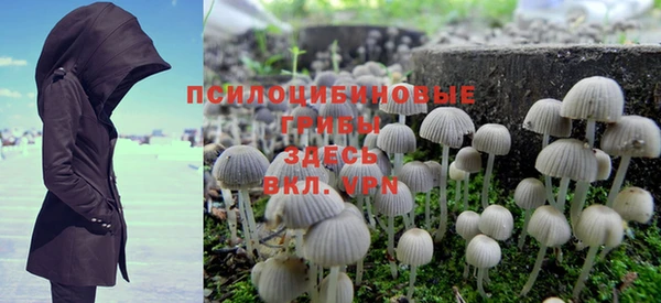 PSILOCYBIN Горно-Алтайск