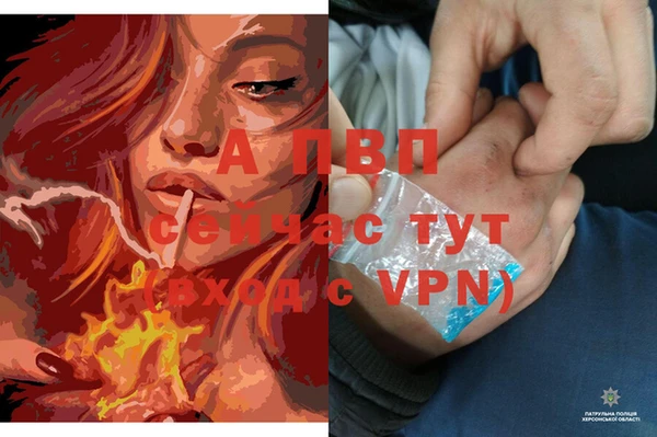 прущая мука Вязьма