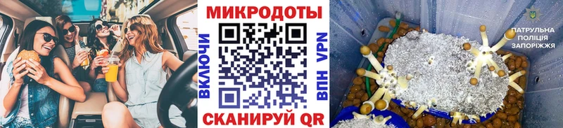 Псилоцибиновые грибы Magic Shrooms KRAKEN ONION Жиздра
