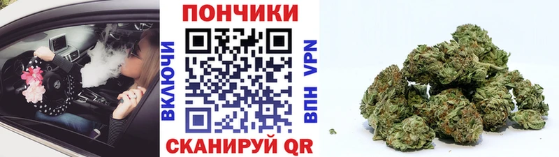 mega ссылки  магазин    Жиздра  МАРИХУАНА VHQ 